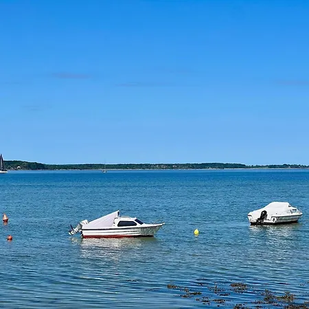 X Ankerlodge ゲルティング